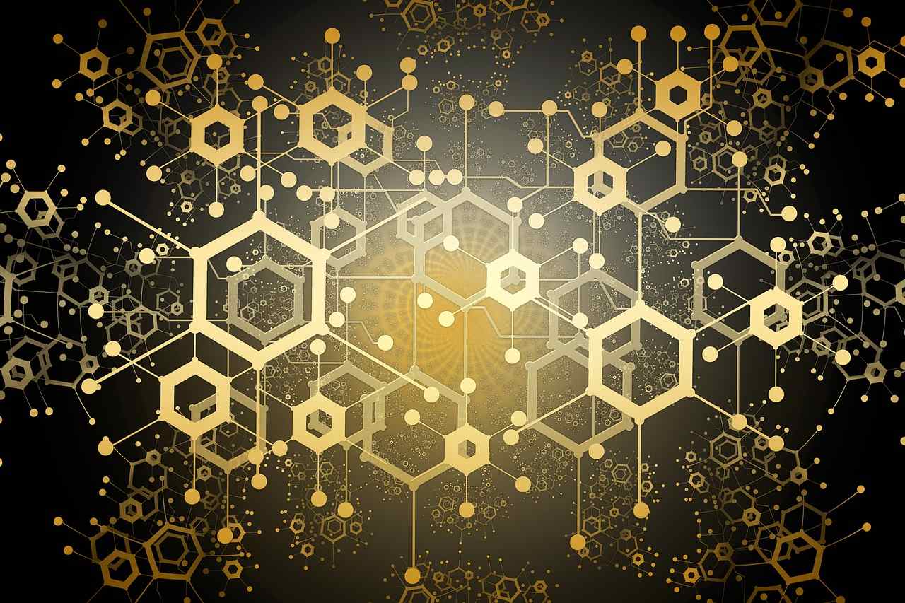 Blockchain-The-Future-of-the-Internet.jpg